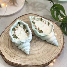 Charger l'image dans la galerie, Bougies en jesmonite parfumées fleuries coquillage vert clair